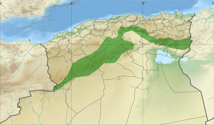 Réhabilitation du barrage vert: Une soupape de sécurité pour l’Algérie