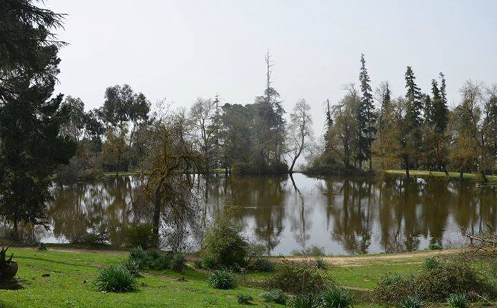 Constantine: Collecte de plus de 26 t de déchets au lac de la réserve de Djebel El Ouahch