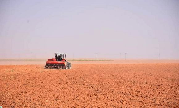 Renforcement des mesures de soutien aux agriculteurs et fourniture des semences