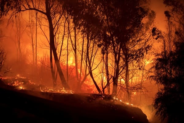 Le plan de prévention contre les feux de forêt mis en œuvre en mai