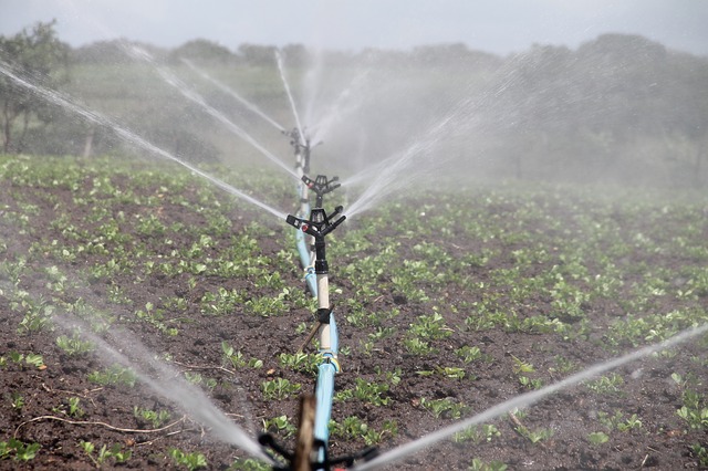 La technologie, les incitations financières et l'initiative pour booster le secteur agricole