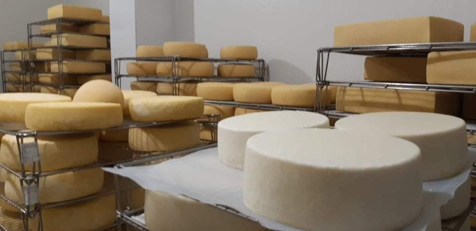 Tizi-ouzou: Fabrication de fromage, une filière en "plein essor"