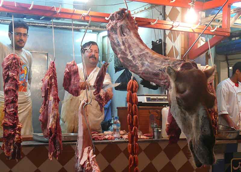 Tindouf: La viande cameline très prisée par la population locale
