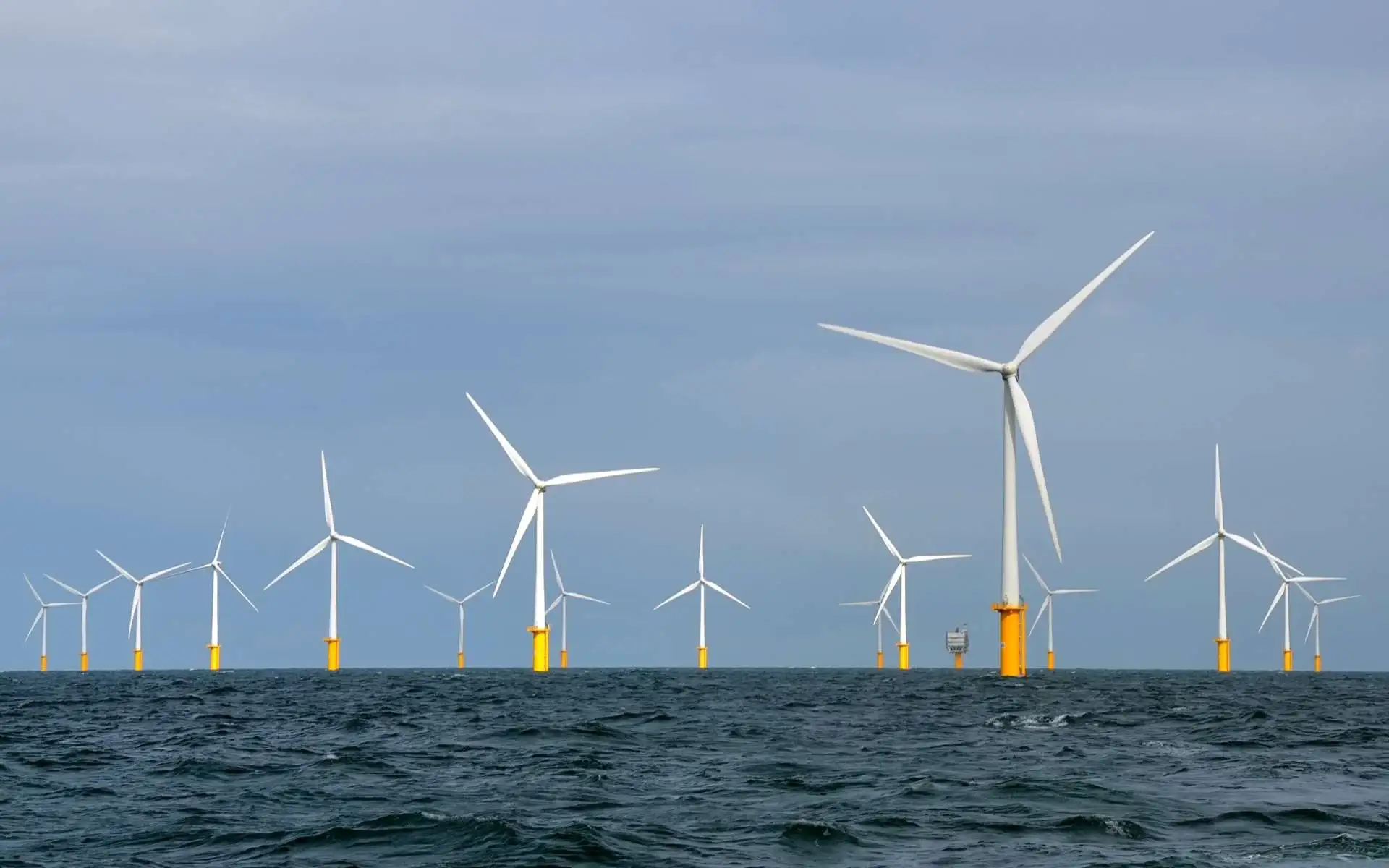 Perspectives prometteuses pour l'éolien offshore en Algérie