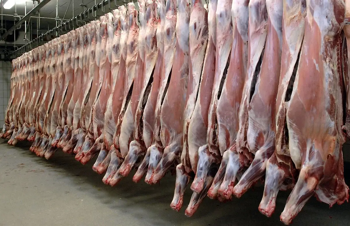 En prévision du mois de Ramadhan: Importation de 13 000 tonnes de viande rouge