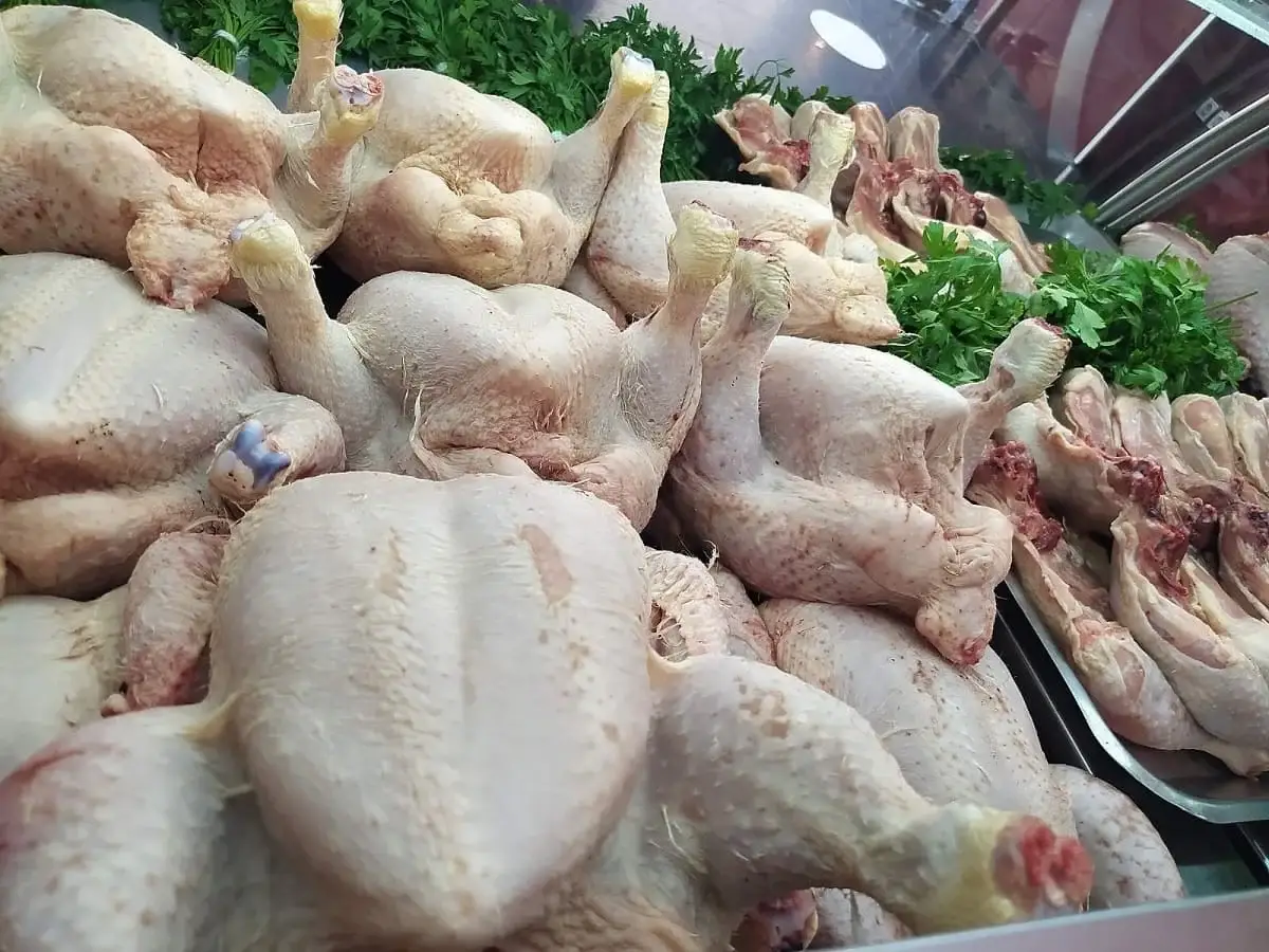 3000 tonnes de poulet congelé importées mises sur le marché