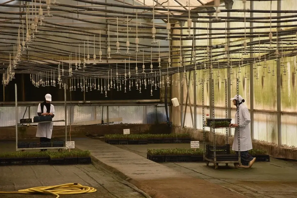 Recensement général de l'agriculture: Plus de 1,2 million d'exploitations recensées