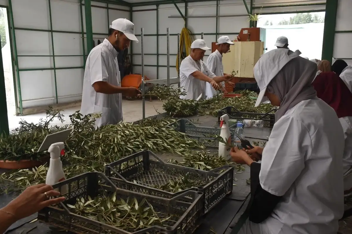 Plus de 230 000 nouvelles exploitations agricoles