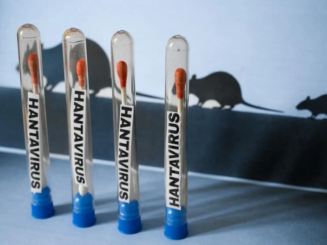 Hantavirus: Un niveau de risque «faible et limité » en Algérie