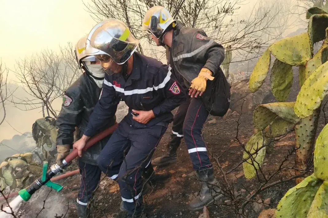 Lutte contre les incendies: L’État mobilise tous les moyens